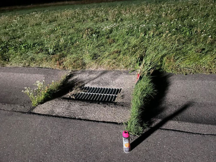 Grasfugensanierung