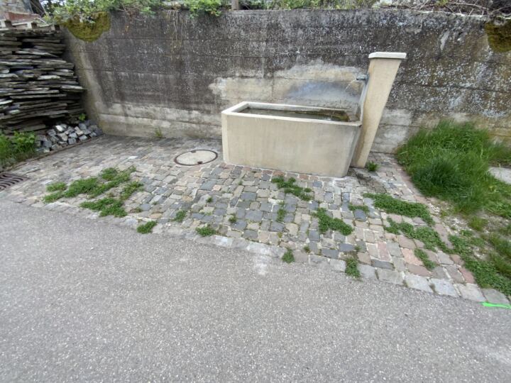 Sanierung Pflasterfläche RSAG