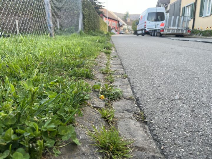 Randsteinsanierung RSAG