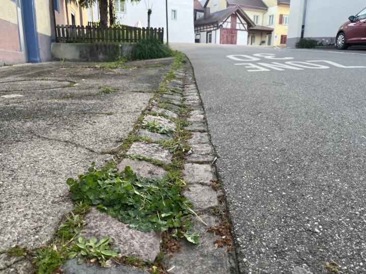Randabschlusssanierung RSAG