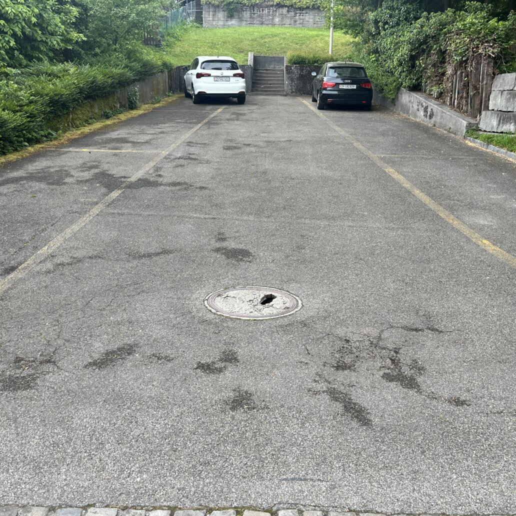 Schachtdeckelsanierung RSAG