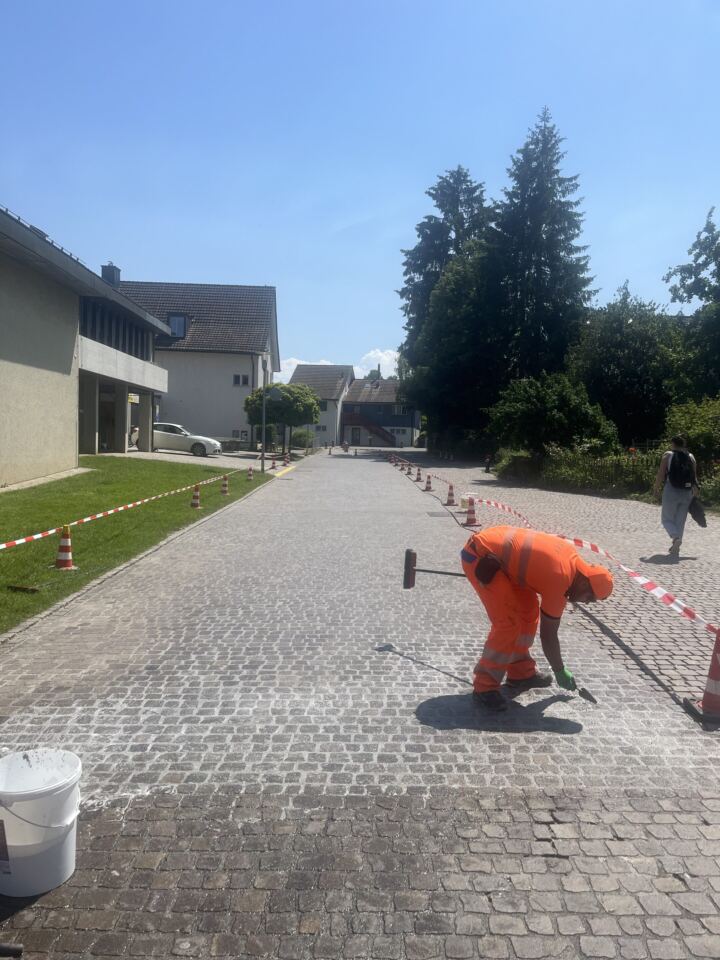 Flächenpflästerung RSAG