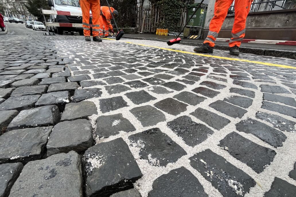 Fl&auml;chenpfl&auml;sterung RSAG